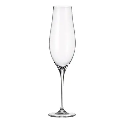 Crystal Bohemia Limosa flute 200 ml 6 ks