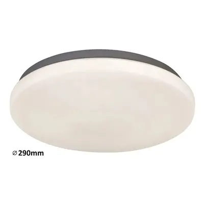 Rabalux LED stropní svítidlo Rob 1x20W | 1400lm | 4000K - průměr 29cm, bílá