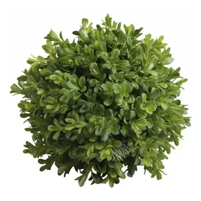 Dekorace umělá zelená koule Buxus - Ø 23cm