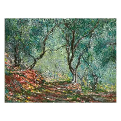 Obrazová reprodukce Olive Trees in the Moreno Garden (1884), Claude Monet