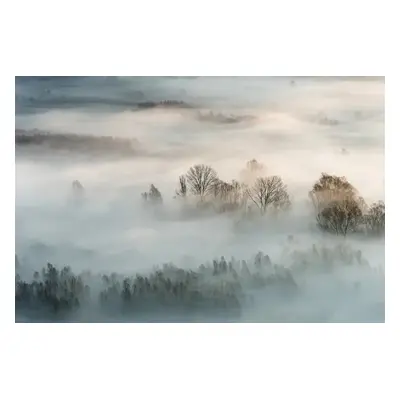 Fotografie Winter fog, Marco Galimberti