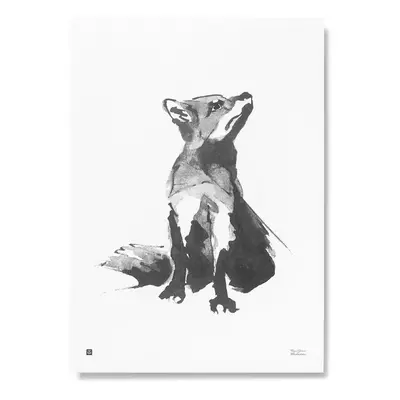 Plakát Red Fox 50x70