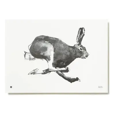 Plakát Mountain Hare 70x50