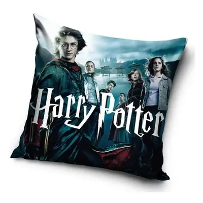 Carbotex Povlak na polštářek Harry Potter Čarodějovi Učni, 40 x 40 cm