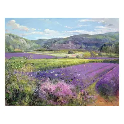 Obrazová reprodukce Lavender Fields in Old Provence, Timothy Easton