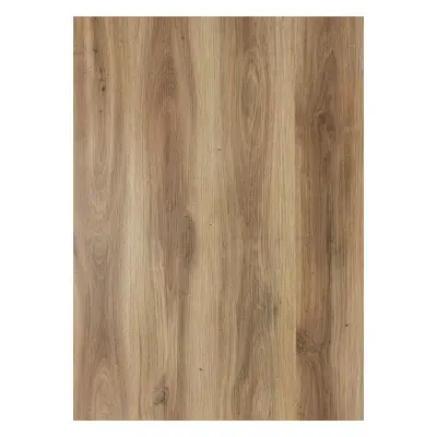 Breno Vinylová podlaha MODULEO SELECT CLICK Classic Oak 24844