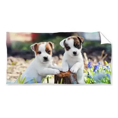 Carbotex osuška Bráškové Jack Russell Teriér 70x140 cm