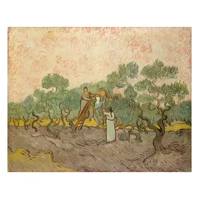 Obrazová reprodukce The Olive Pickers, Saint-Remy, 1889, Vincent van Gogh