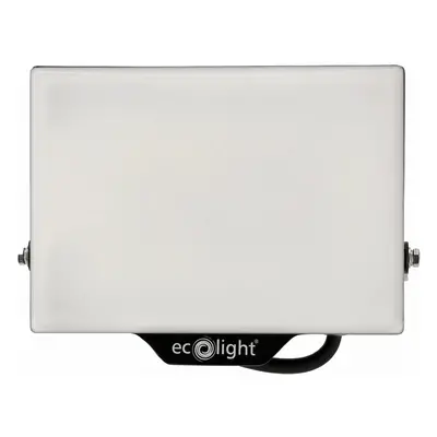 ECOLIGHT LED reflektor 50W 2v1 - studená bílá