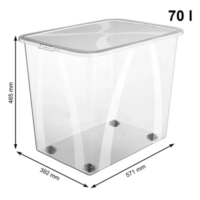 Úložný box, transparentní krabice s víkem, Rotho LONA, 57x39x47 (70l)