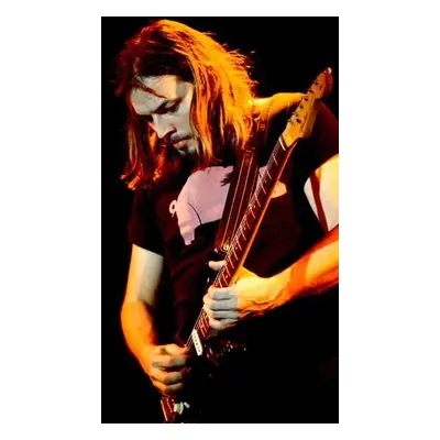 Fotografie David Gilmour, February 1977: concert of rock band Pink Floyd