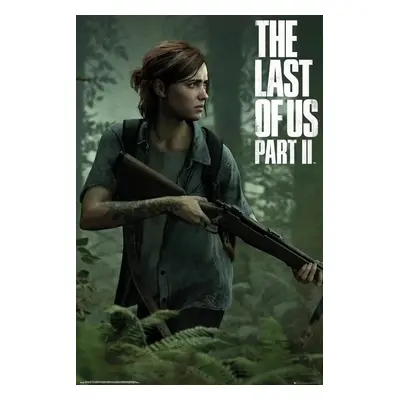 Plakát, Obraz - The Last of Us 2 - Ellie