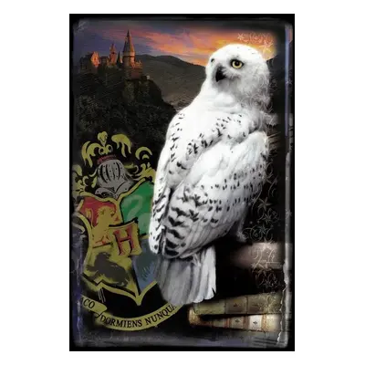 Umělecký tisk Harry Potter - Hedwig