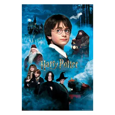 Plakát, Obraz - Harry Potter - Kámen mudrců