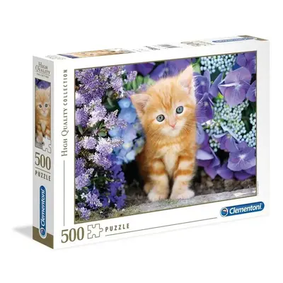 Puzzle Ginger Cat