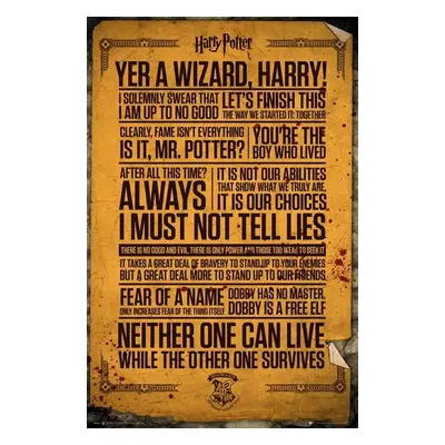 Plakát, Obraz - Harry Potter - Quotes