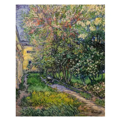 Obrazová reprodukce The garden at the asylum at Saint-Rémy (1889), Vincent van Gogh