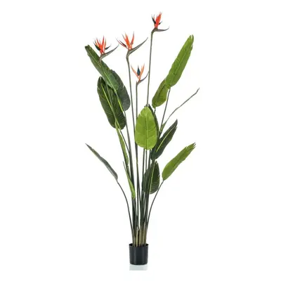 Emerald Umělá Strelitzia 4 rostliny v květináči 150 cm