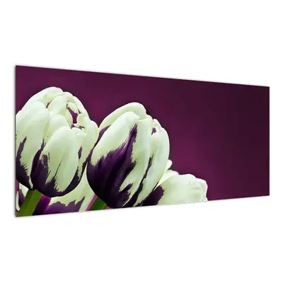 Makro tulipánů - obraz (100x40cm)