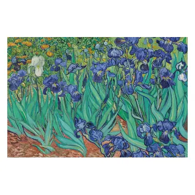 Plakát, Obraz - Vincent van Gogh - Les Irises