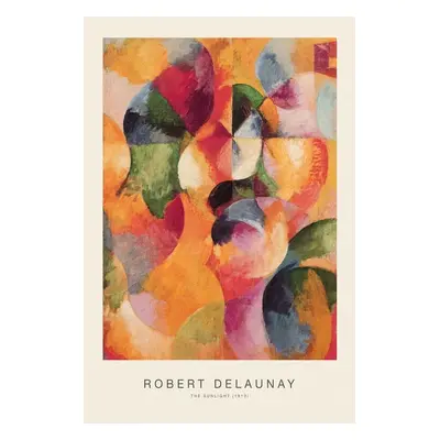 Obrazová reprodukce The Sunlight (Special Edition) - Robert Delaunay