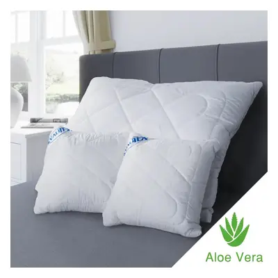 Kvalitex Polštář ALOE VERA se zipem 150g 40x40