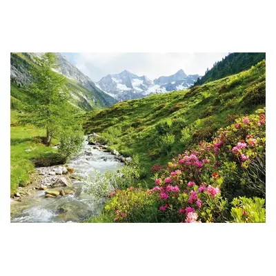 Plakát, Obraz - Alpy - Nature and Mountains