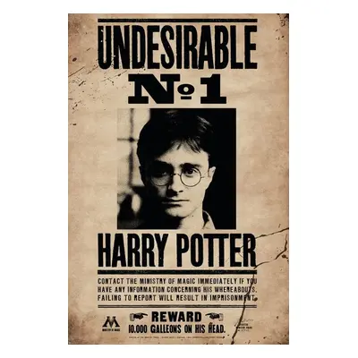 Plakát, Obraz - Harry Potter - Undersirable No.1