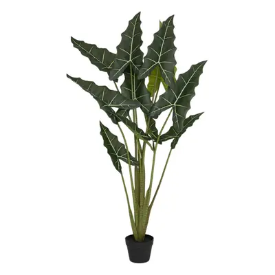 Alocasia Taro umělá 120 cm