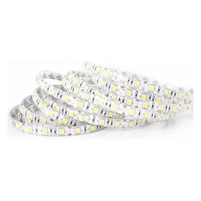 ECOLIGHT LED pásek - SMD 5050 - 5m - 60LED/m - 14,4W/m - IP65 - teplá bílá