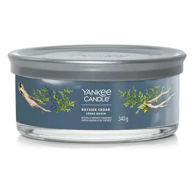 Yankee Candle vonná svíčka Tumbler 5 knotů Bayside Cedar 340 g