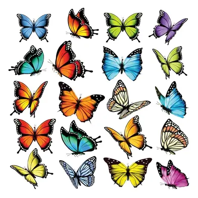 Samolepící dekorace Butterflies, 30 x 30 cm