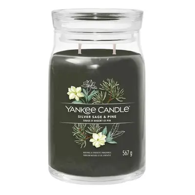 Yankee Candle Silver Sage & Pine velká vonná svíčka 567g