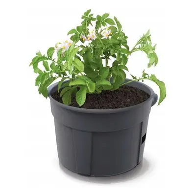 Květináč na pěstování brambor POTATO GROWER antracit 39,2cm