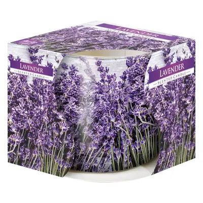 Vonná svíčka ve skle Lavender 100 g, 7,2 cm