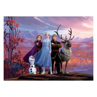 Dětská fototapeta Frozen 2, 156 x 112 cm