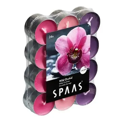 Spaas MIX orchidej 24 ks