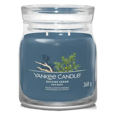 Yankee Candle vonná svíčka Signature ve skle střední Bayside Cedar 368g