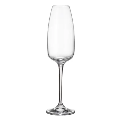 Crystalite Bohemia sklenice na šampaňské Anser 290 ml 6KS