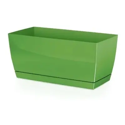 PROSPERPLAST Truhlík - COUBI CASE P Rozměr: 29x14,2 cm, Barva: zelená