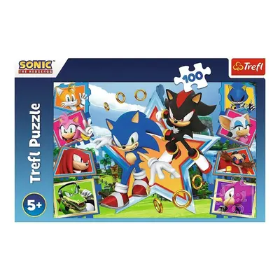 Trefl Puzzle Sonic Seznamte se s ježkem, 100 dílků