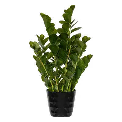 Zamioculcas Tuff umělý 90 cm