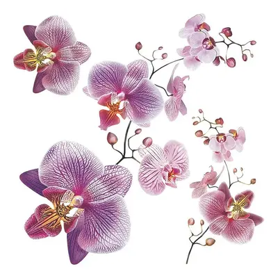 Samolepicí dekorace Orchids, 30 x 30 cm