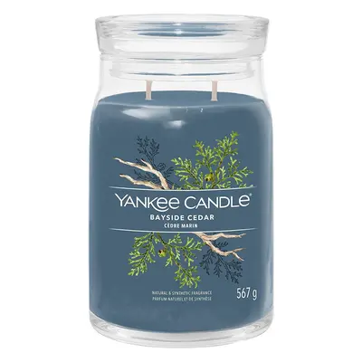 Yankee Candle vonná svíčka Signature ve skle velká Bayside Cedar 567g