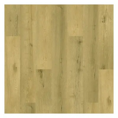 Vinylová plovoucí podlaha Area Floors Authentic Oak Click Rigid 6501 Dub přírodní 1,947 m²