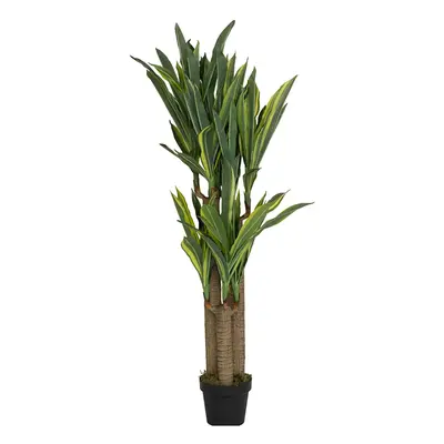 Dracena umělá 120 cm