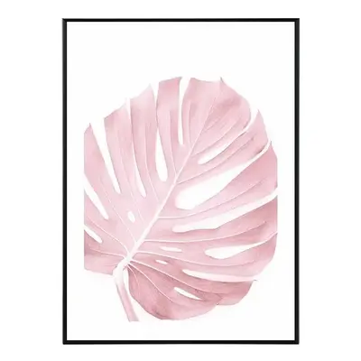 Pink Monstera - 50x70 cm Obraz