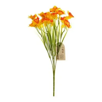 Narcis kytice s 15-ti květy, výška 32 cm