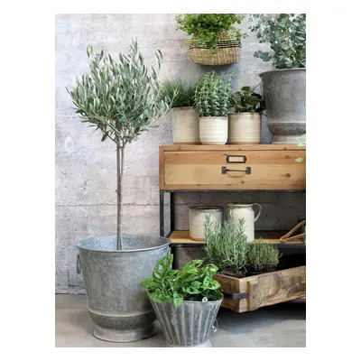 2ks kulatý plechový zinkový antik obal na květináč Planters - Ø 36*36/ Ø 31*30cm