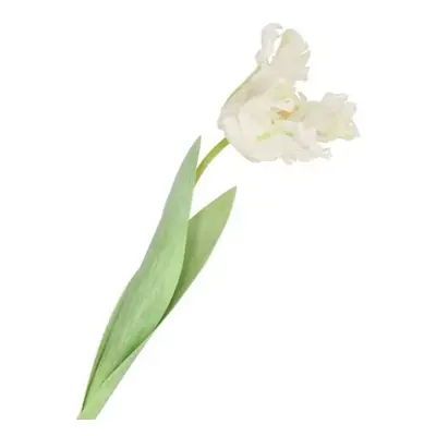 Bílý tulipán Silk Tulip White - 64 cm